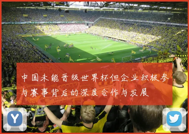中国未能晋级世界杯但企业积极参与赛事背后的深度合作与发展