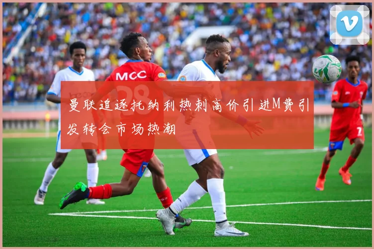 曼联追逐托纳利热刺高价引进M费引发转会市场热潮