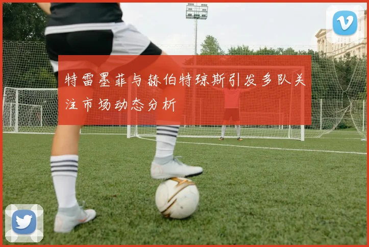 特雷墨菲与赫伯特琼斯引发多队关注市场动态分析